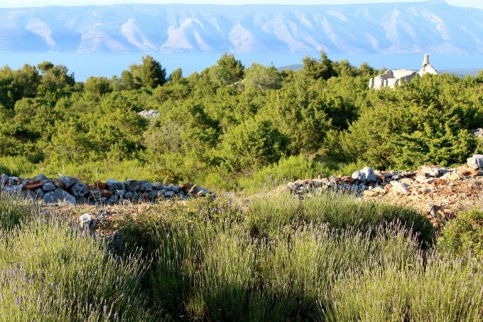 Hvar Hidden Gems Tour With Lunch or Dinner - Scenic Views and Exploration