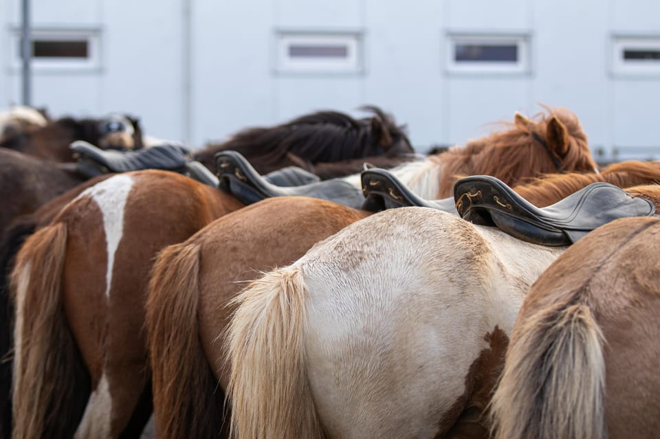 Hveragerdi: Countryside Charm Horse Riding Tour - Transportation Options