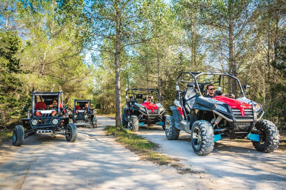 Ibiza: Buggy Sightseeing Excursion - Meeting Point and Arrival Time