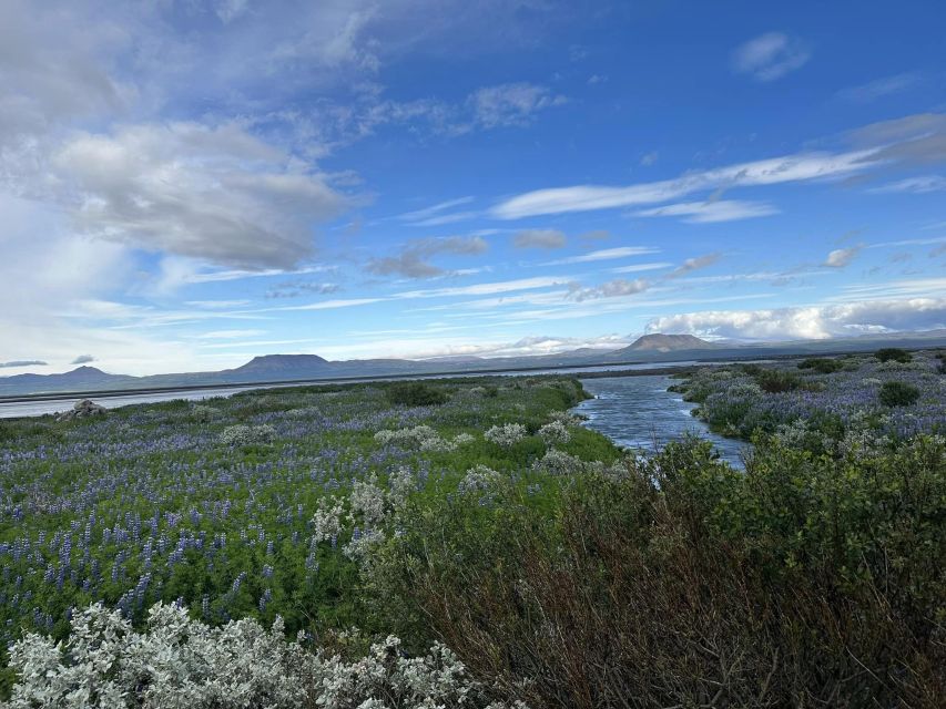 Iceland Atv. Atv Guided Trip Close to Dettifoss Iceland - Frequently Asked Questions