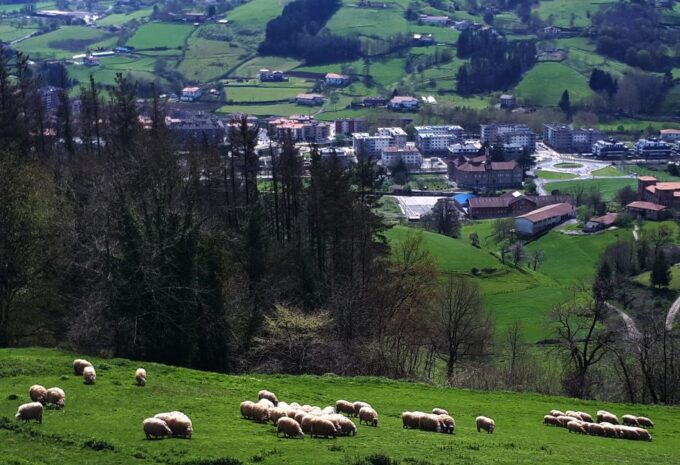 Idiazabal Cheese Tour From San Sebastian - Included Activities