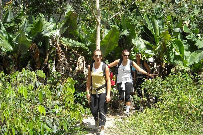 Inca Jungle Tour to Machu Picchu 4D - 3N Standard - Day 4: Aguas Calientes to Machu Picchu to Cusco