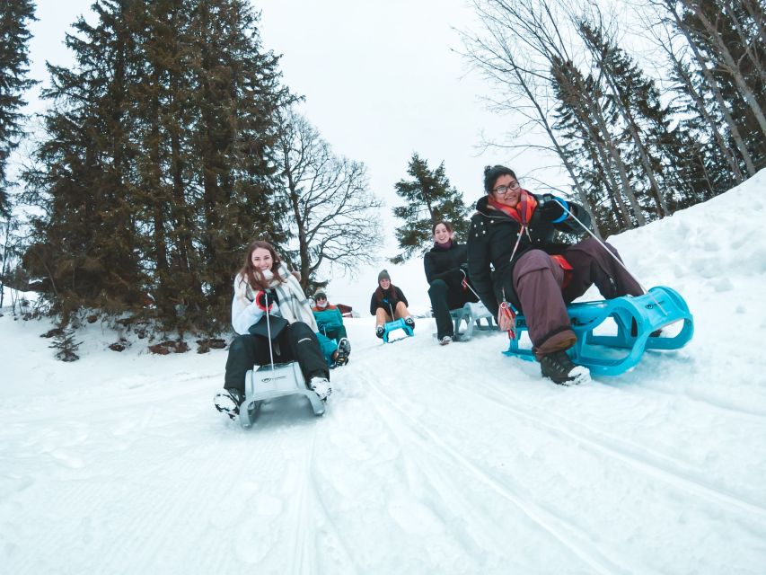 Interlaken: Guided Sledging Adventure - Customer Experiences