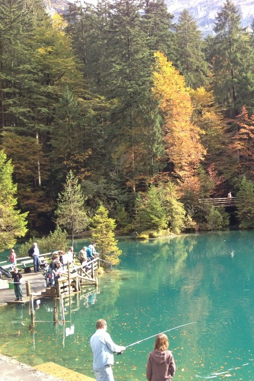 Interlaken Private Tour: Blue Lake & Öschinen Lake - Customer Reviews and Ratings