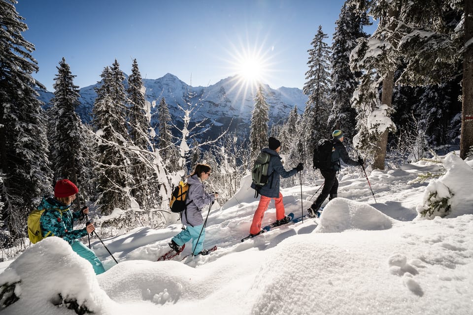 Interlaken: Winter Alpine Adventure - Snowshoe and Sledding - Important Participant Information