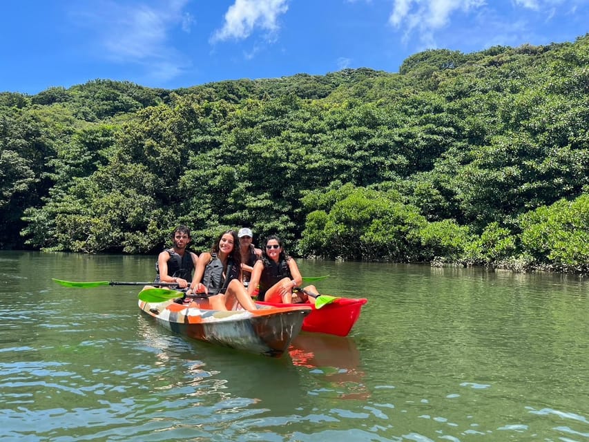 Iriomote Island: Mangrove River Canoe Cruising Tour - Booking and Cancellation Policy