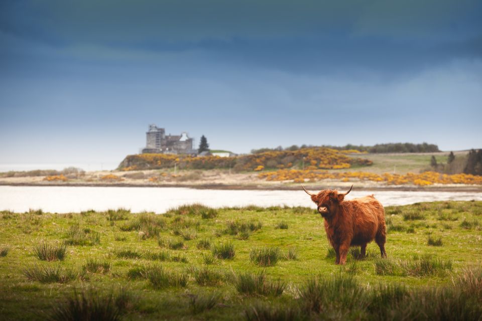 Isle of Mull and Iona 3-Day Small-Group Tour From Glasgow - What to Expect on the Tour