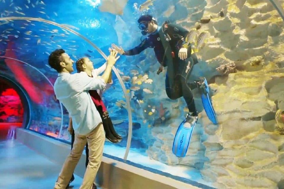 Istanbul Aquarium and Aqua Florya Shopping Mall Tour - Brands and Dining Options