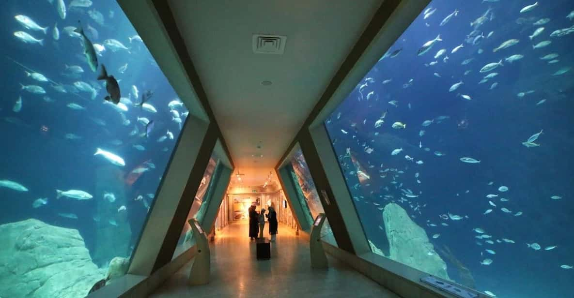 Istanbul: Aquarium Ticket and Round Trip Shuttle From Taksim - Visitor Ratings Overview