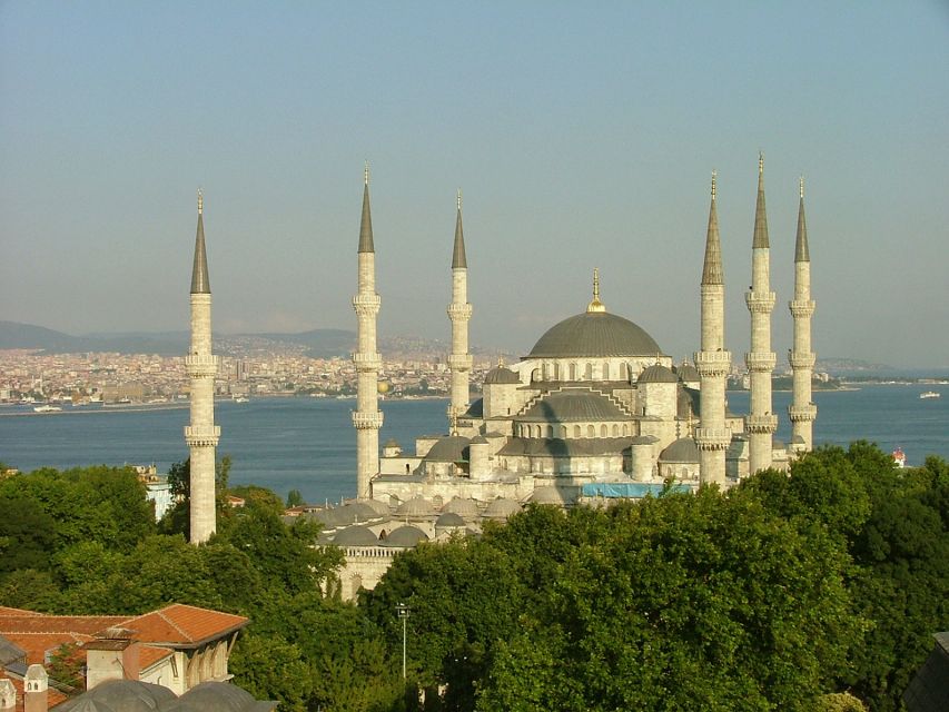 Istanbul: Half-Day Morning Hagia Sophia & Blue Mosque Tour - Tips for a Great Experience