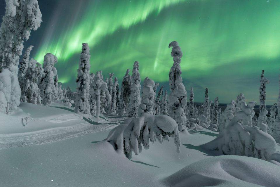 Ivalo: Northern Lights Holiday in Northern Lapland - Important Participant Information