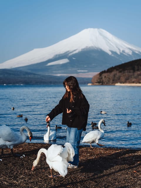 Japan Photography Tour : Iconic Places and Views - Booking Process