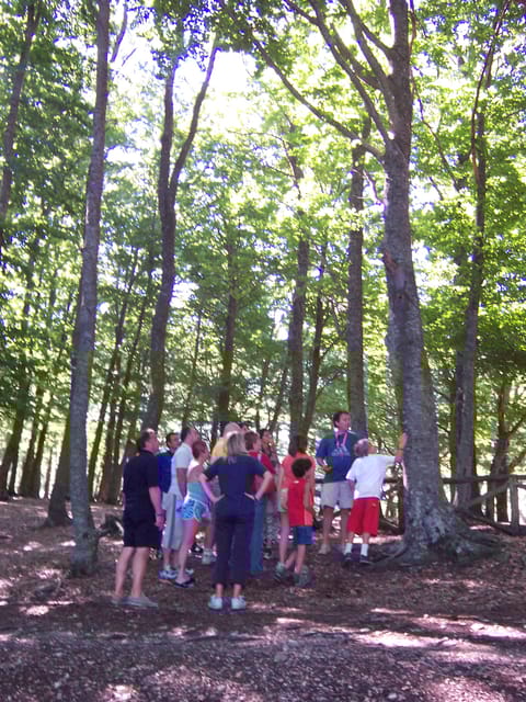Jeep Safari in the Gargano National Park - Exclusive - Booking and Cancellation