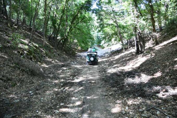 Jeep Safari in the Gargano National Park - Exploring the Gargano National Park