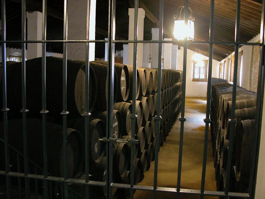 Jerez: Álvaro Domecq Wineries Guided Tour With Wine Tasting - Exploring the Vinegar Cellar