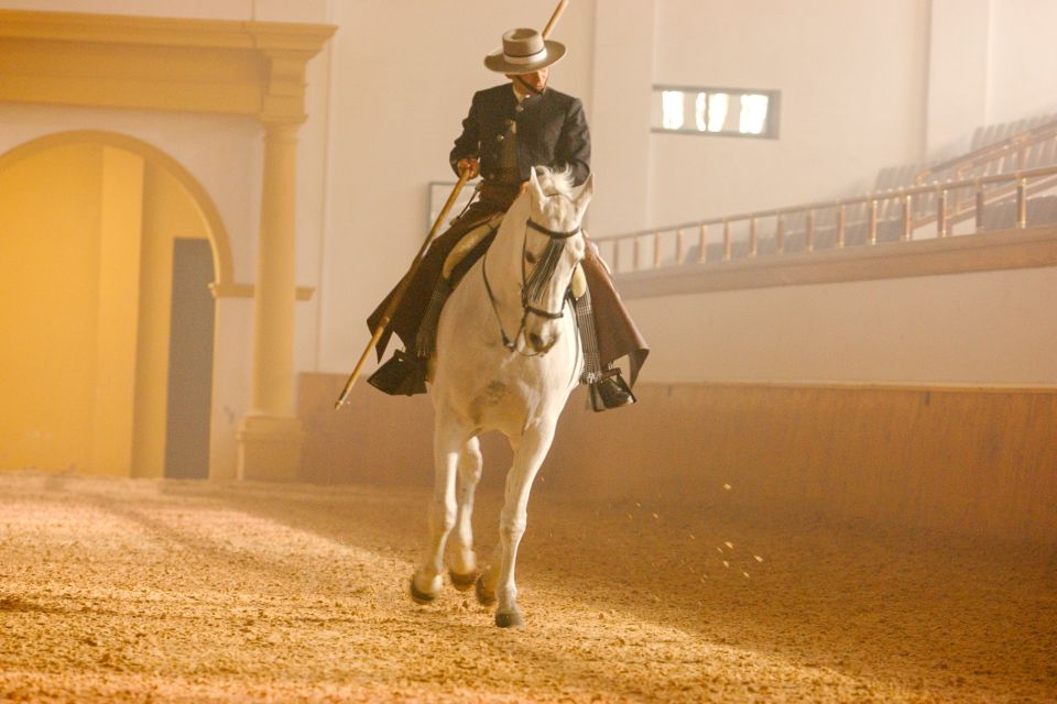 Jerez De La Frontera: How the Andalusian Horses Dance - Visitor Policies