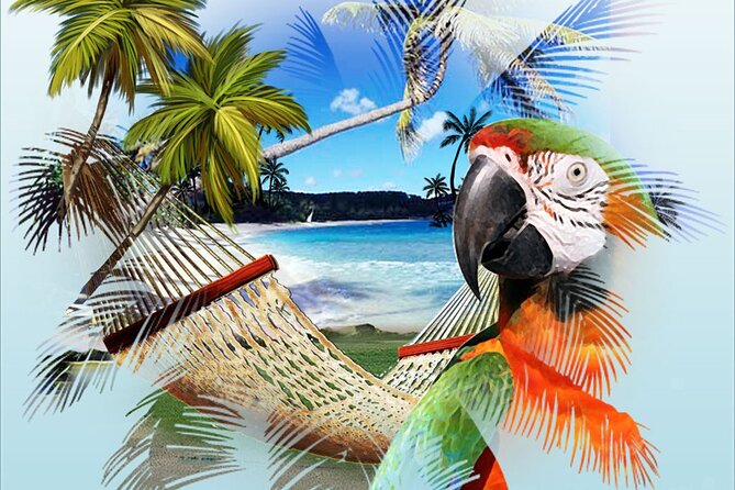 Jimmy Buffett Tour - Tips for Participants