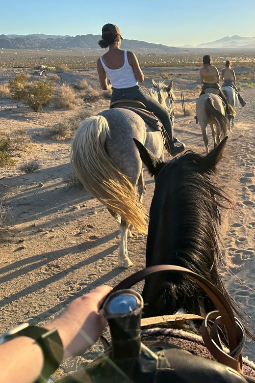 Joshua Tree: Horseback Trail Riding Adventure With a Guide - Booking and Cancellation Policy