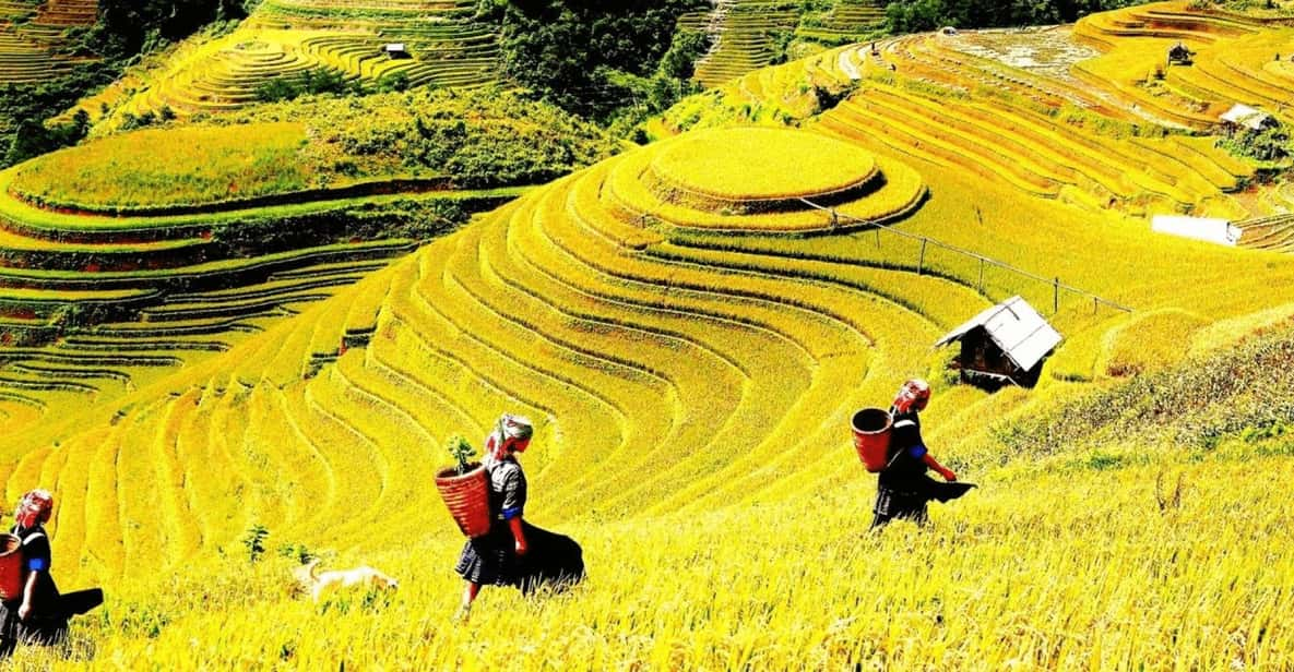 Journey Through Sapa Terraces & Traditions - Frequently Asked Questions