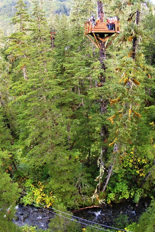 Juneau: Alpine Zipline Adventure - What to Bring