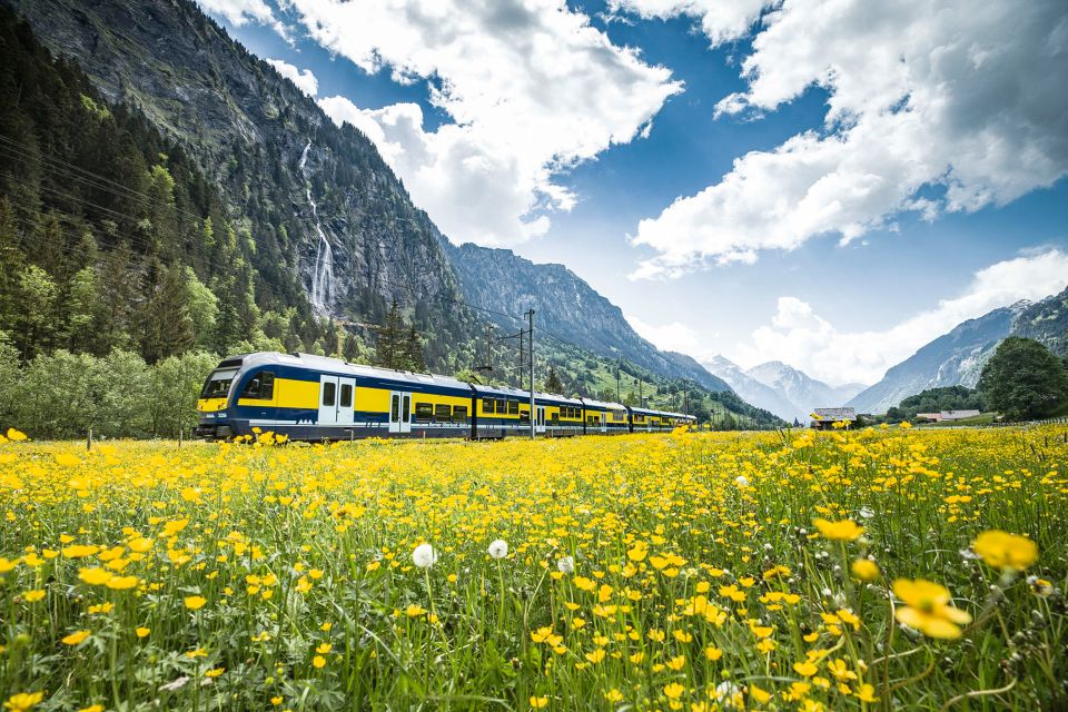 Jungfraujoch: Roundtrip to the Top of Europe by Train - Customer Ratings Overview