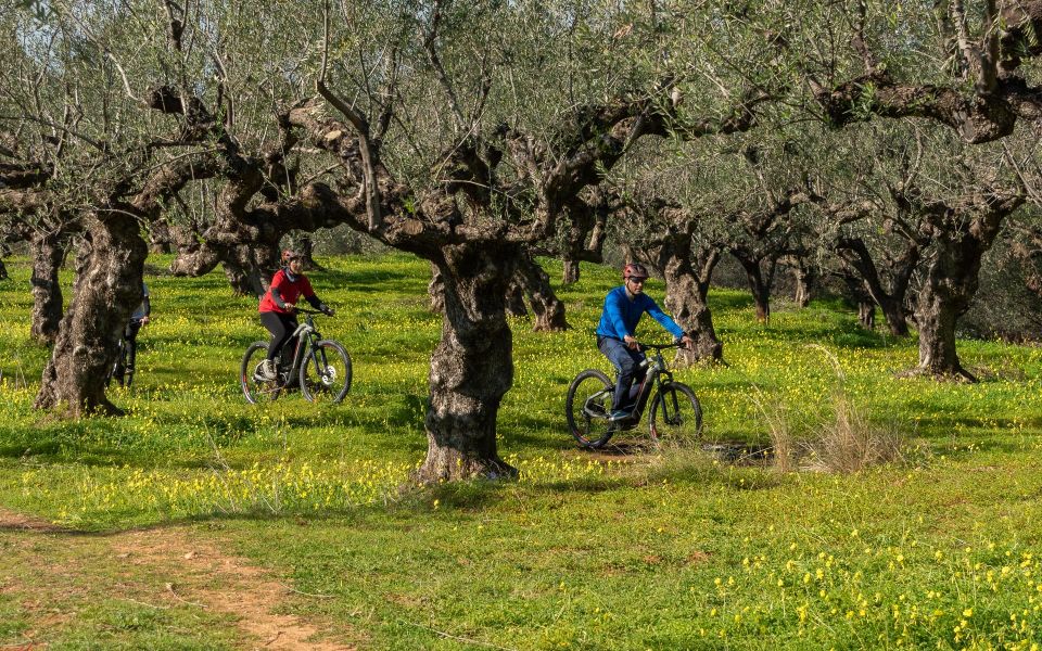 Kalamata: Olive Grove E-Mountain Bike Tour With Picnic Lunch - Frequently Asked Questions