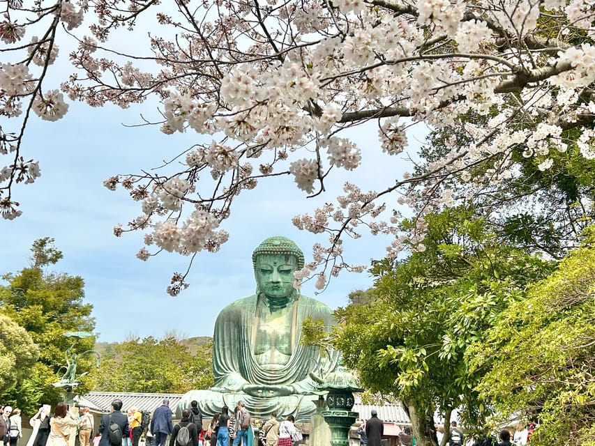 Kamakura: Half Day Walking Tour & Japanese Sweets - Customer Reviews