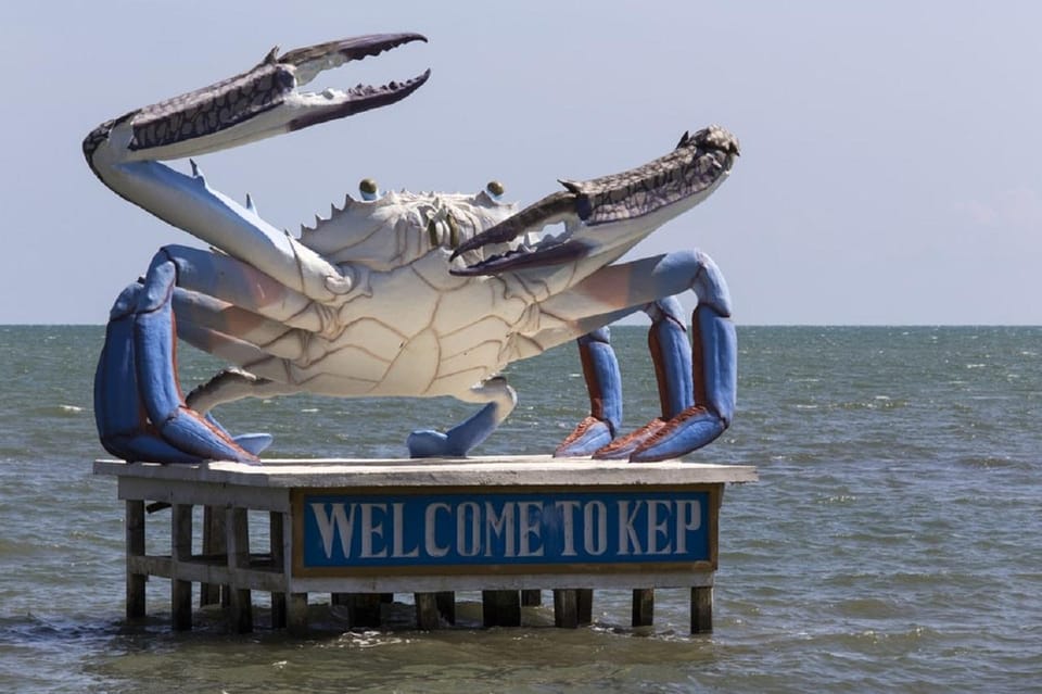 Kampot Day Trip to Pepper Farm, Temple/Market and Salt Field - Kep Crab Market Highlights