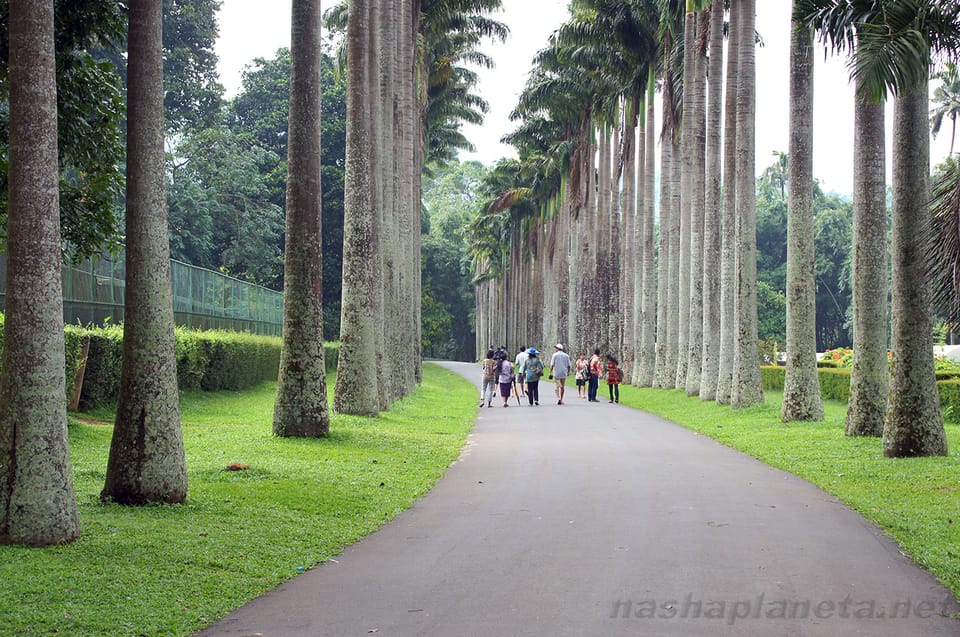 Kandy To Ambuluwawa Tower Day Tour - Tour Details