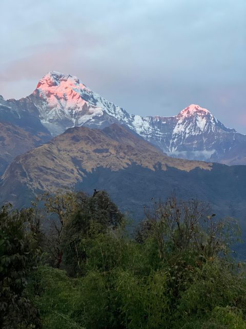 Kathmandu: 3 Day Ghorepani Poon Hill Guided Trek - Day 3: Sunrise at Poon Hill