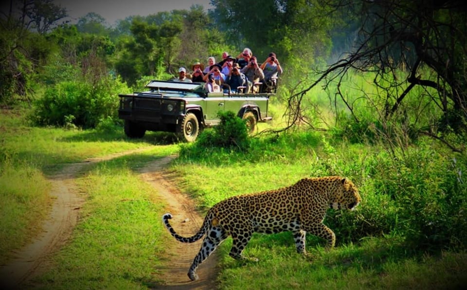 Kathmandu: 4-Day Private Chitwan National Park Safari Tour - Transportation Details