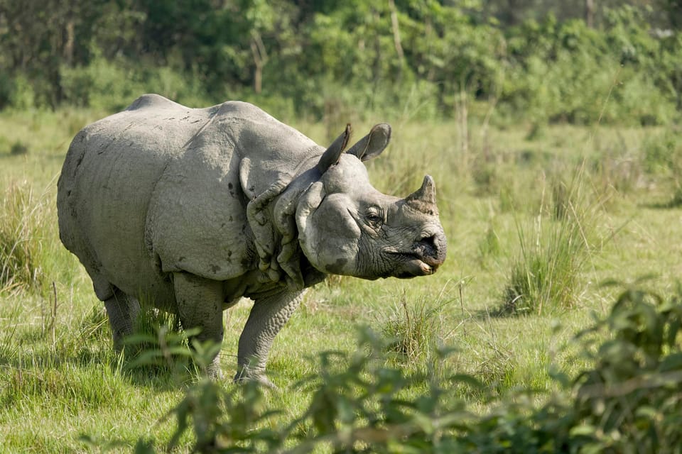 Kathmandu: 4-Days Unesco Sites & Wildlife Safari at Chitwan - Practical Travel Information