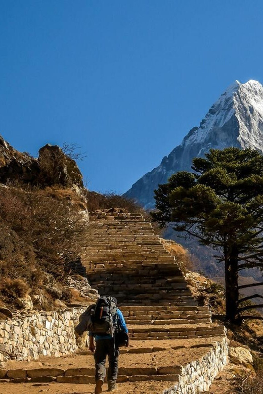 Kathmandu : 7 Day Ghorepani Poonhill Guided Trek - Accommodation Options