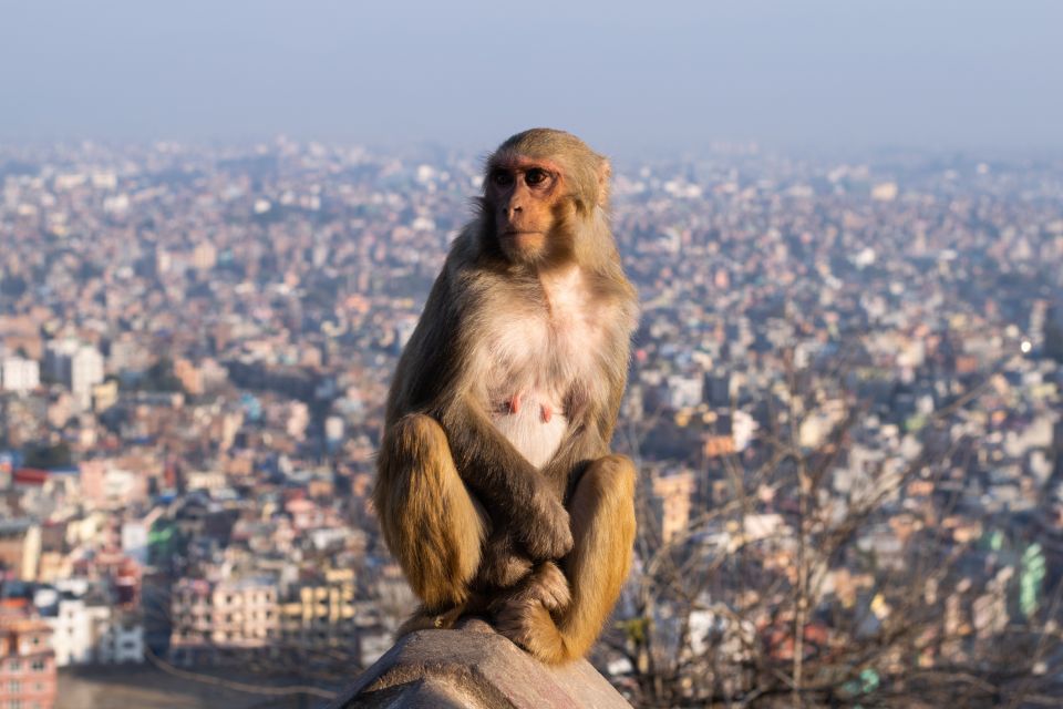 Kathmandu: Full Day City Sightseeing Tour - Tips for Travelers