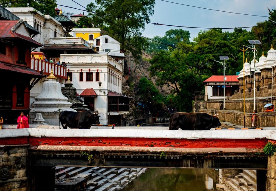 Kathmandu Guided Day Tour - Cultural Insights