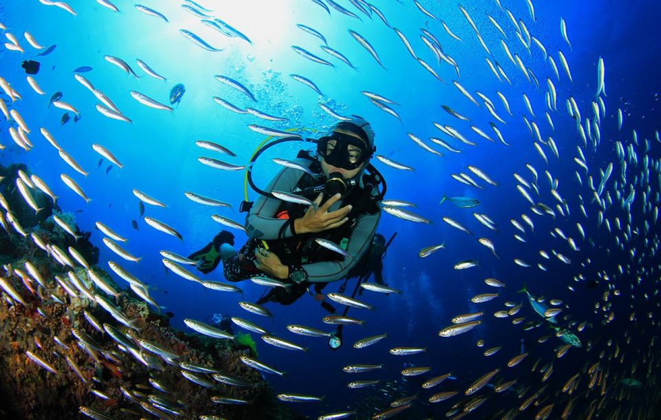 Kefalonia: Beginner Scuba Diving at Agia Efimia Village - Health and Safety Guidelines