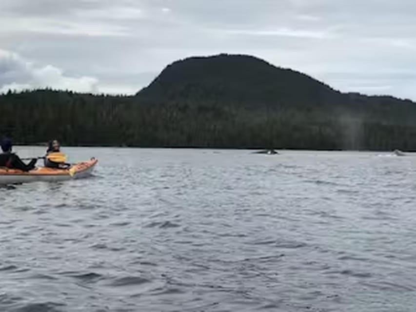 Ketchikan: Kayak Eco-Tour - Participant Guidelines