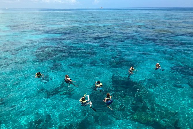 Key West Afternoon Reef Snorkeling With Open Bar - Guest Reviews and Feedback