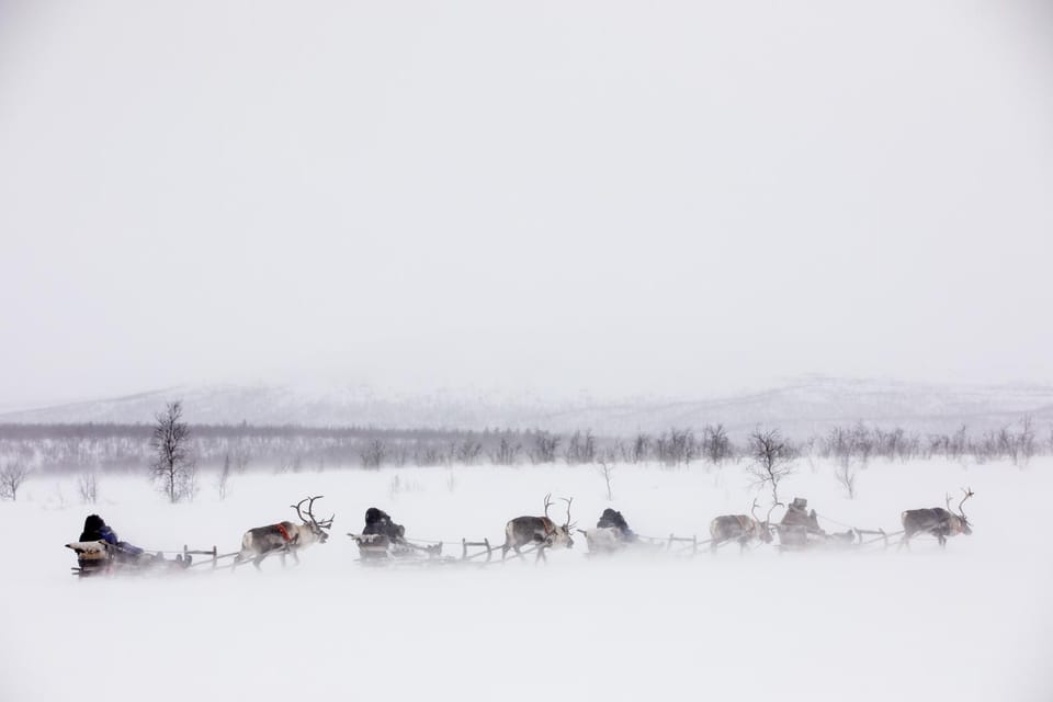 KIRUNA: Reindeer Sled Ride in the Countryside - What to Bring