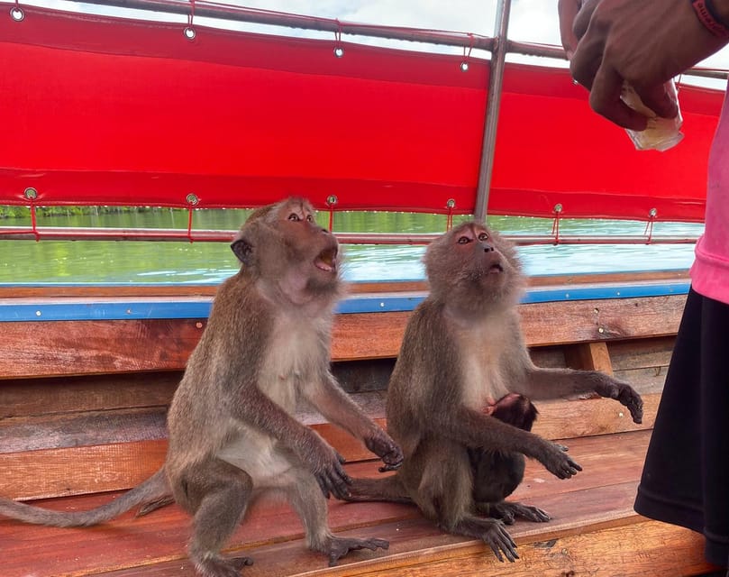 Ko Lanta: Mangrove Forest and Old Town Private Tour - Explore Mangrove Forest