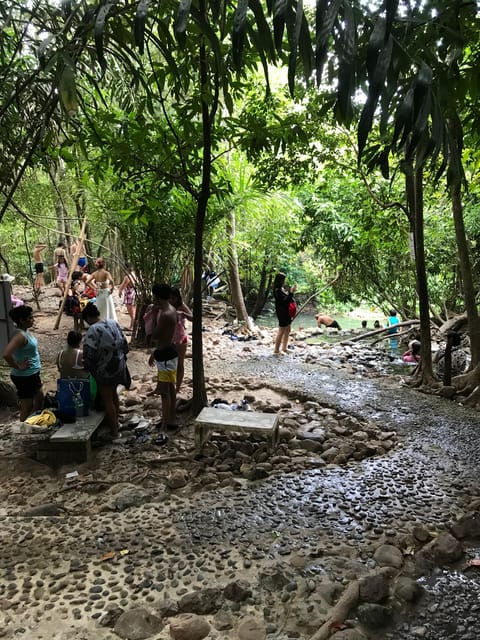 Ko Lanta: Mangrove Tour Emerald Pool Tour Hot Springs Tour - Mangrove Tour