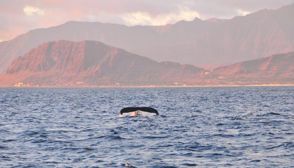 Ko Olina: Captains Sunset + Tasting - Frequently Asked Questions