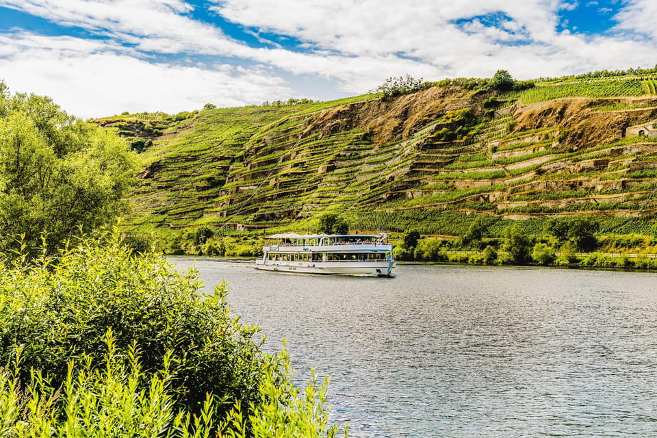 Koblenz: Panoramic Cruise on Moselle River to Winningen - Accessibility and Languages Offered