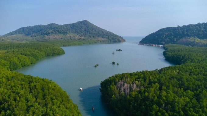 Koh Chang: Mangrove Forest Gondola Tour - Duration and Pricing