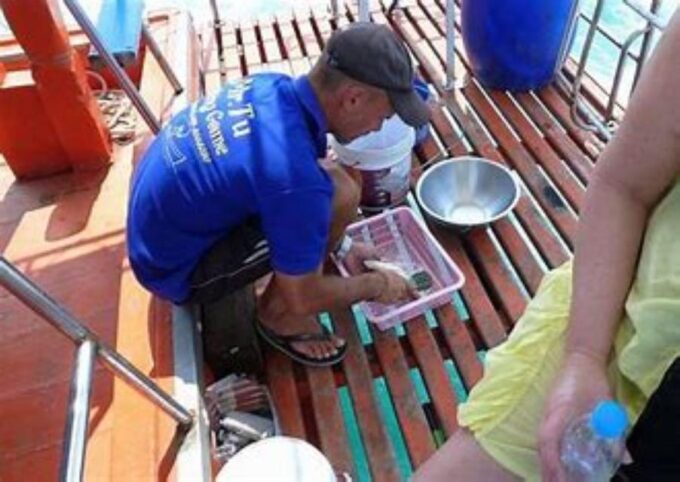 KOH SAMUI DAY FISHING Private Group - Guidance and Assistance