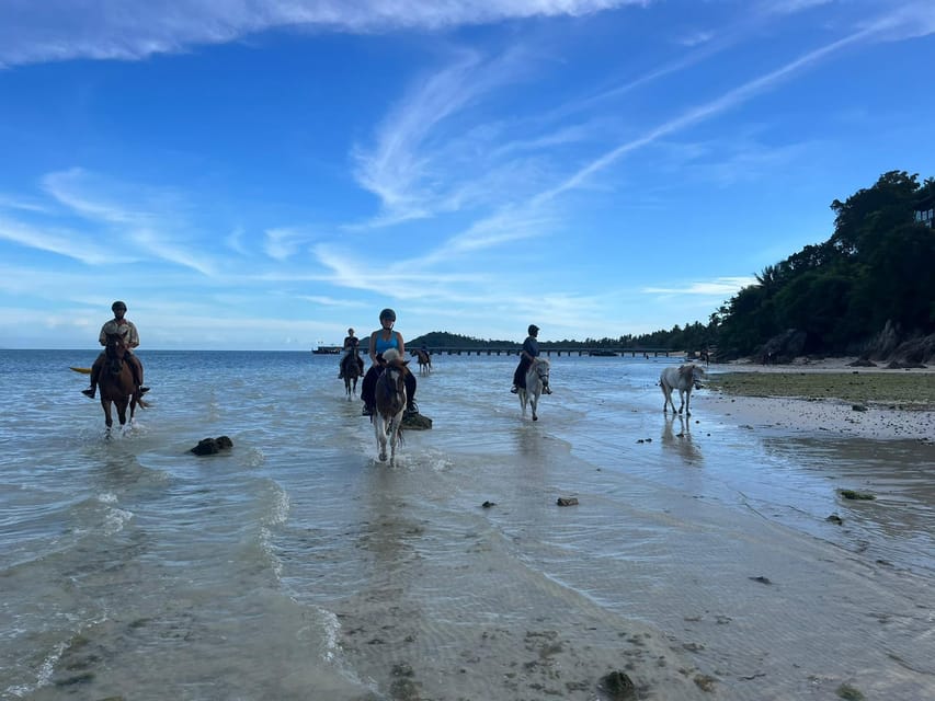 Koh Samui Horse Riding & Beach Trails - Horse Riding Adventure