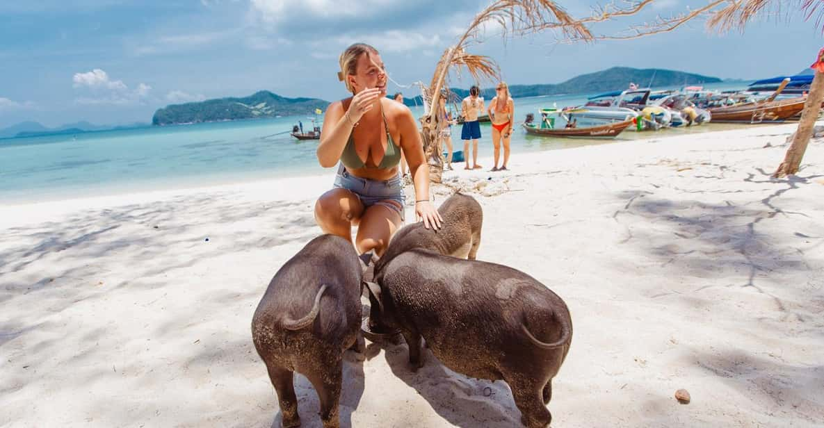 Koh Samui: Pig Island Private Longtail Boat Tour - Important Information