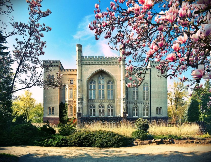 Kornik Castle and Rogalin Palace Half-Day Private Tour - Unique Forest of Oak Trees