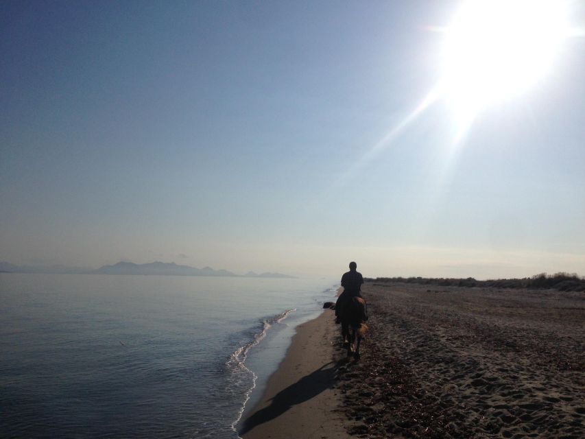 Kos: Horse Riding Experience on the Beach With Instructor - Frequently Asked Questions