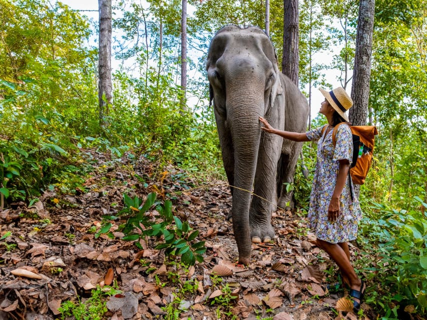 Krabi: Ethical Elephant Care Experience With Hotel Transfer - Hotel Pickup and Drop-off